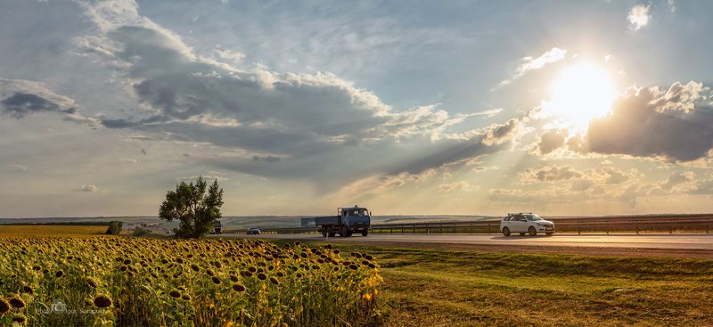 автомобильная дорога,трасса м4, трасса дон, путешествия по россии, солнце, небо, вечер, россия, путь, путешествие, путешествие на автомобиле, природа, поле подсолнечника, подсолнухи, панорама, небо, маршрут, лада веста, камаз, закат, дорога, даль, вечер, Закат на трассе Дон фото превью