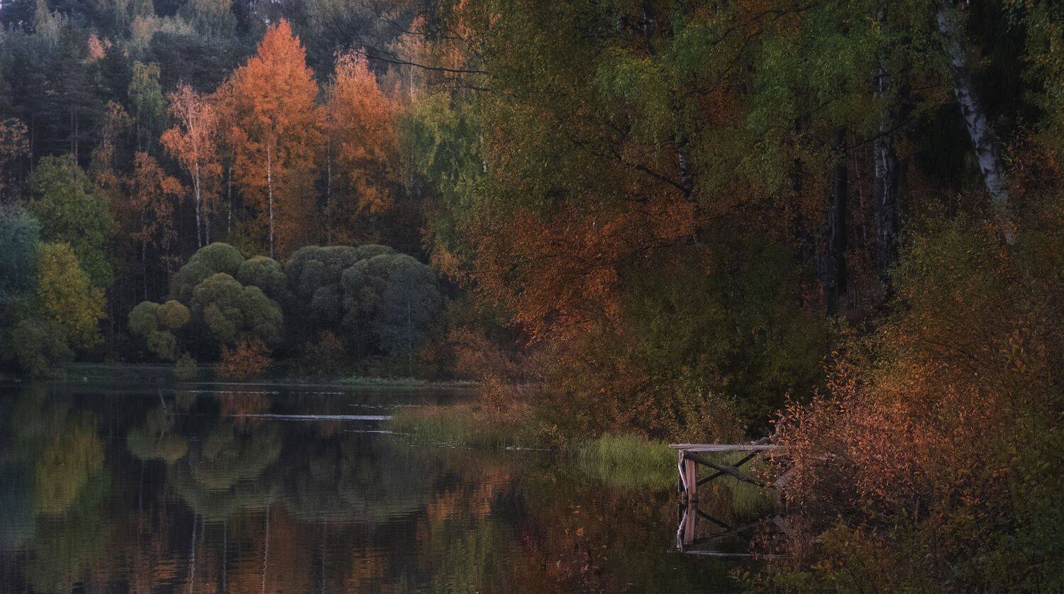 , Светлана Краюшкина