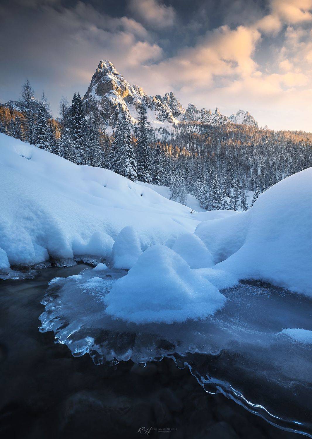 , Roksolyana Hilevych