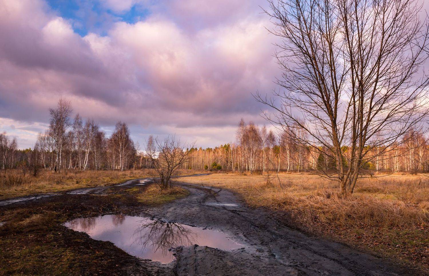 зима, луг, январь, закат, тучи, Галанзовская Оксана