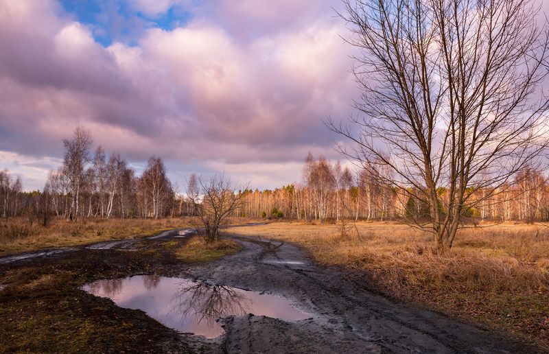 зима, луг, январь, закат, тучи Весна идет сторонкой, да где ж она сама? (А.А. Блок) фото превью