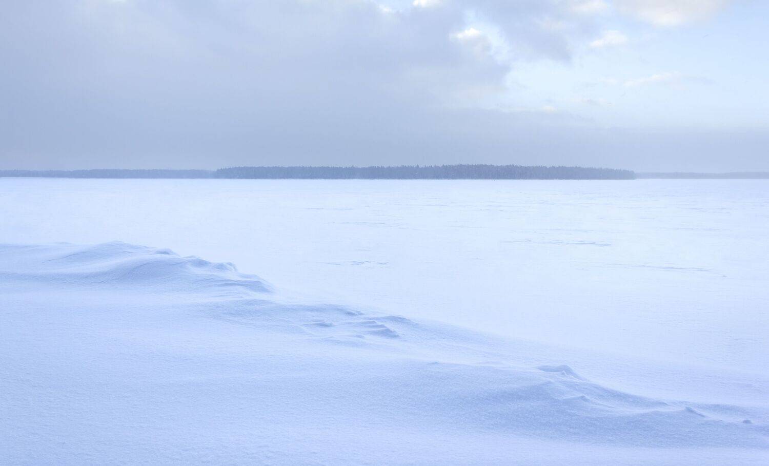 зима, снег, Ольга Бонина