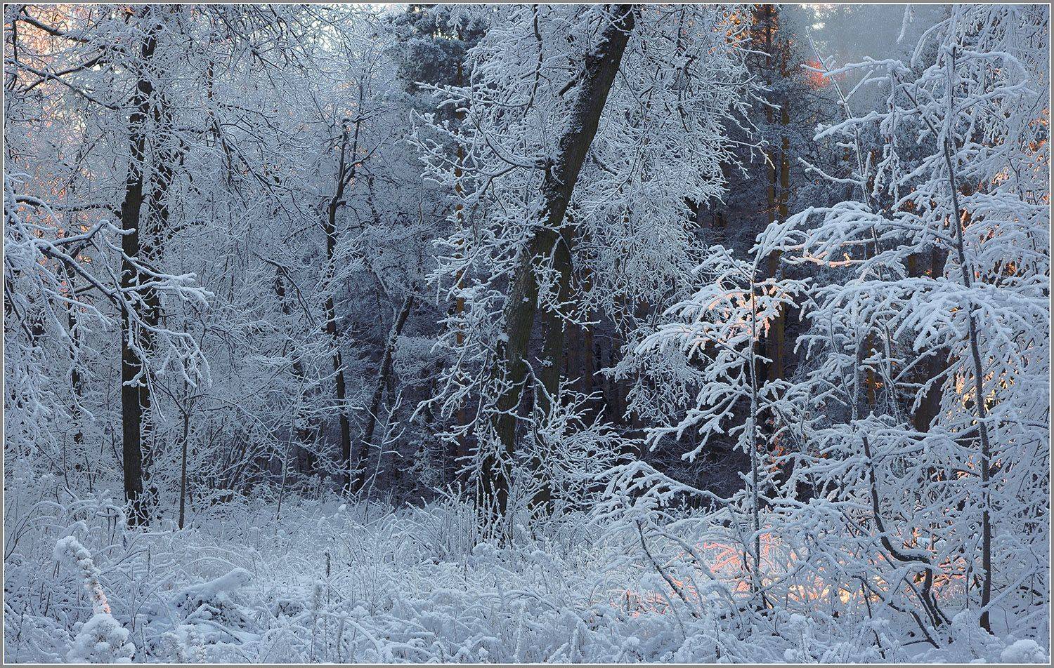 , Владимир Краснов