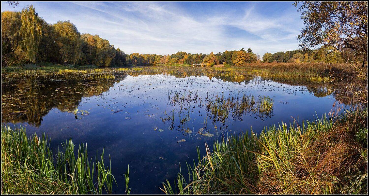 москва, осень, озеро, лес, панорама, АНАТОЛИЙ ДОВЫДЕНКО