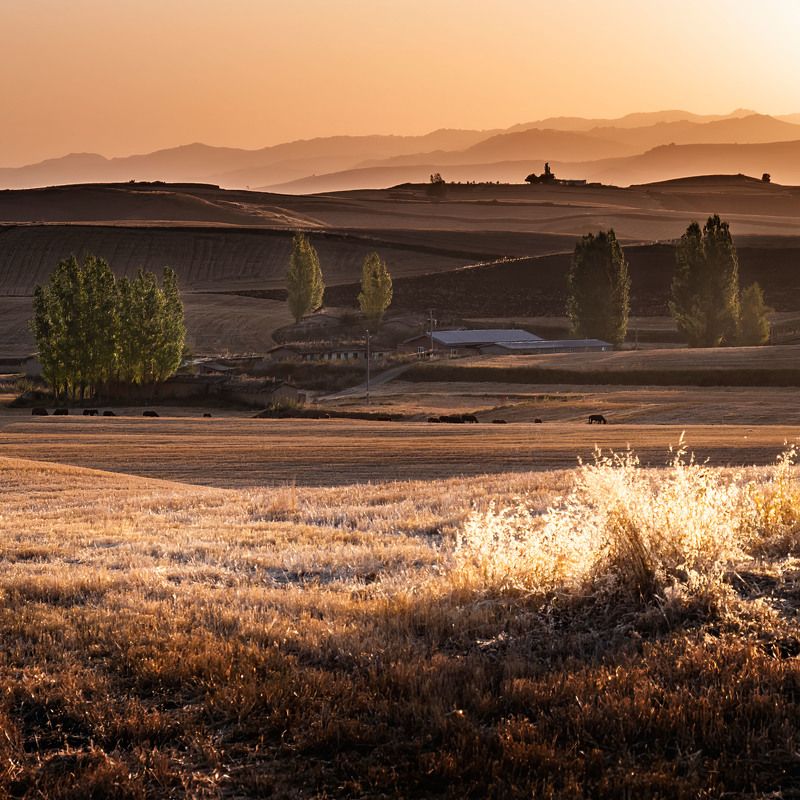 江布拉克 中国新疆  Цзян Булак китайский синьцзян фото превью