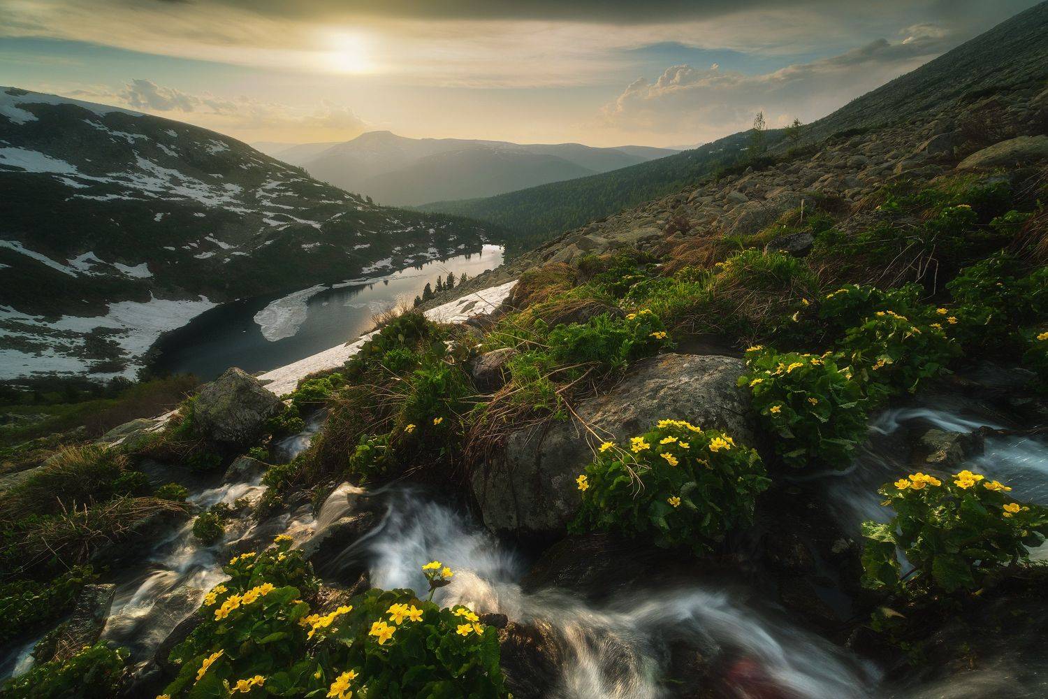 россия, сибирь, кузбасс, кемеровская область, поднебесные зубья, хребет, озеро, лето, природа, пейзаж, цветы, Оборотов Алексей