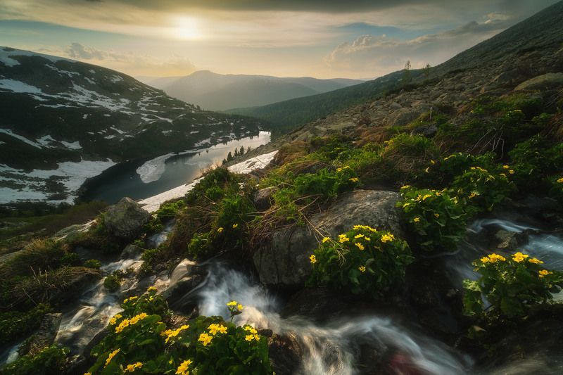 россия, сибирь, кузбасс, кемеровская область, поднебесные зубья, хребет, озеро, лето, природа, пейзаж, цветы Поток фото превью