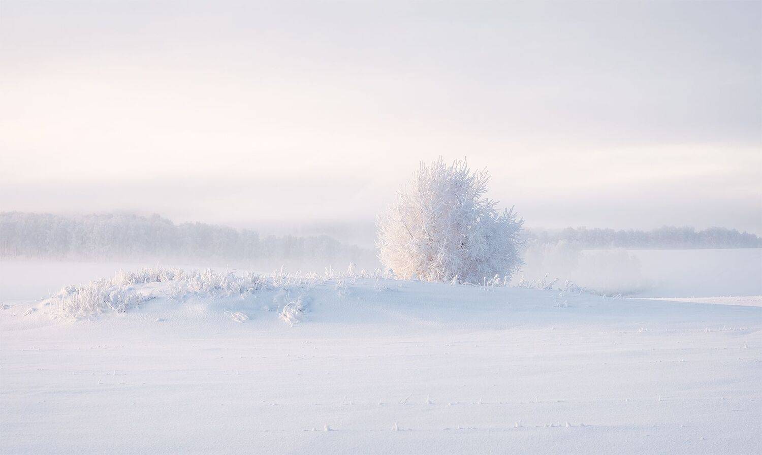 , Лещёнок Александр