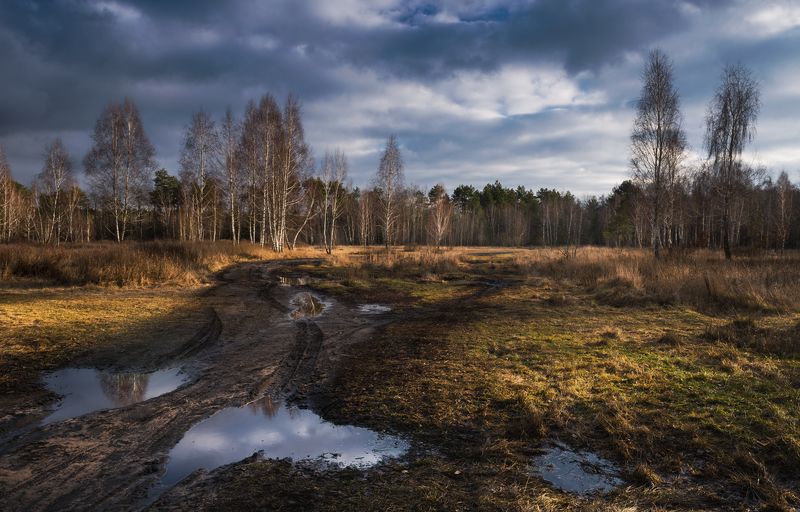 луг зима январь лужи крылья ангела Дождевые тучи фото превью