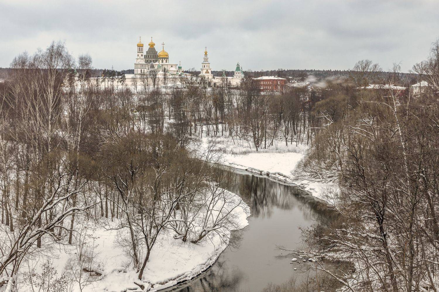 Истра, Гусева Елена