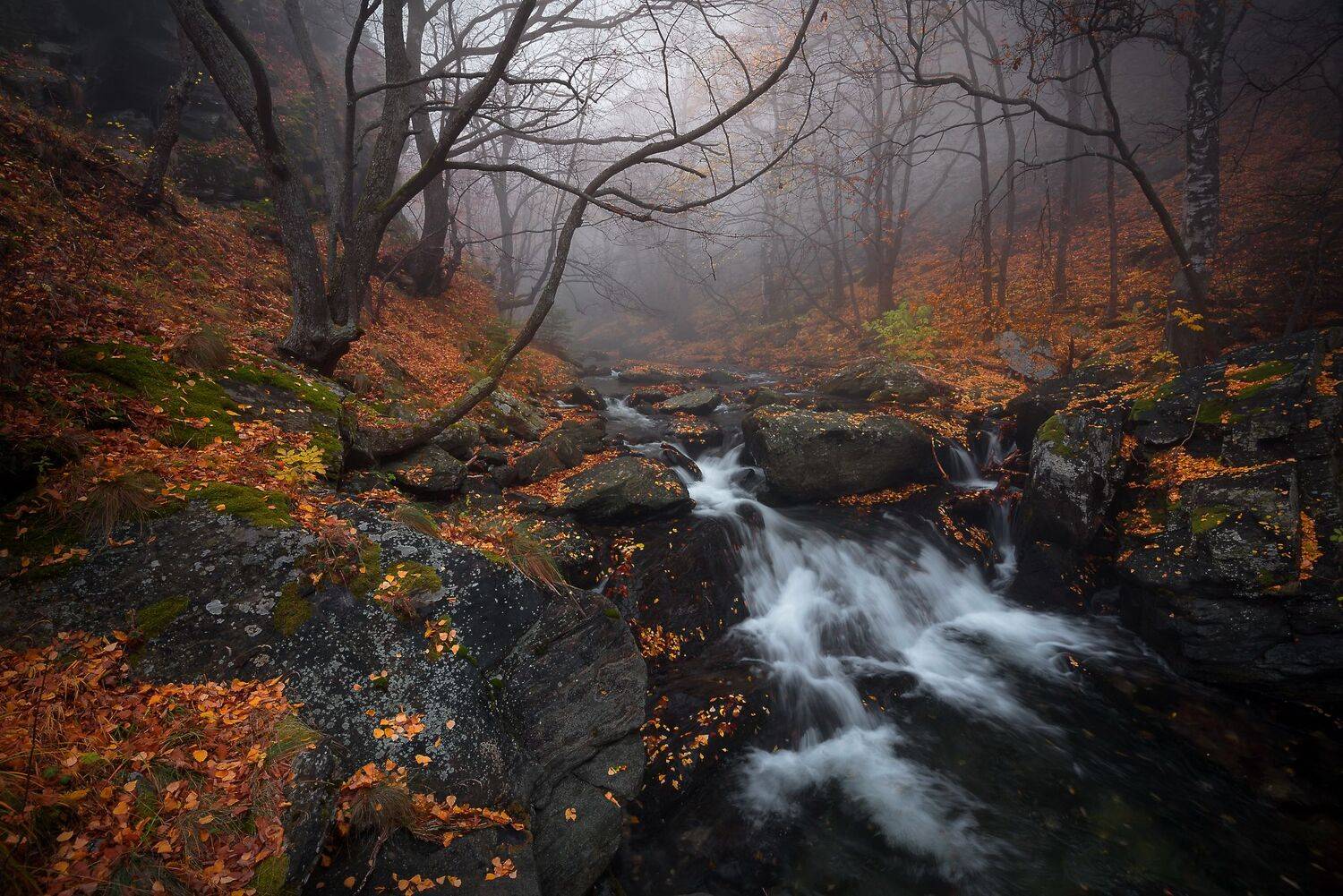 , Mariyana Atanasova - Lucero