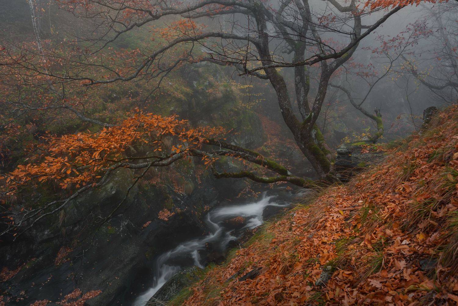 , Mariyana Atanasova - Lucero