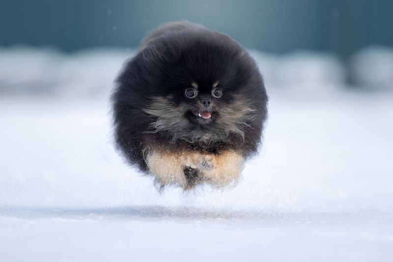 -20, Полет нормальный:) фото превью