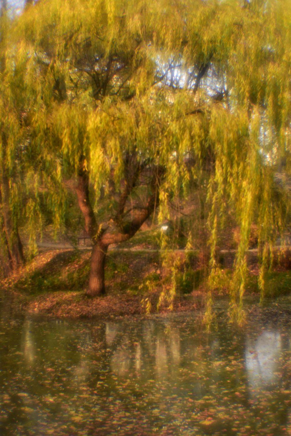 , Владимир Леликов-Кузьменко