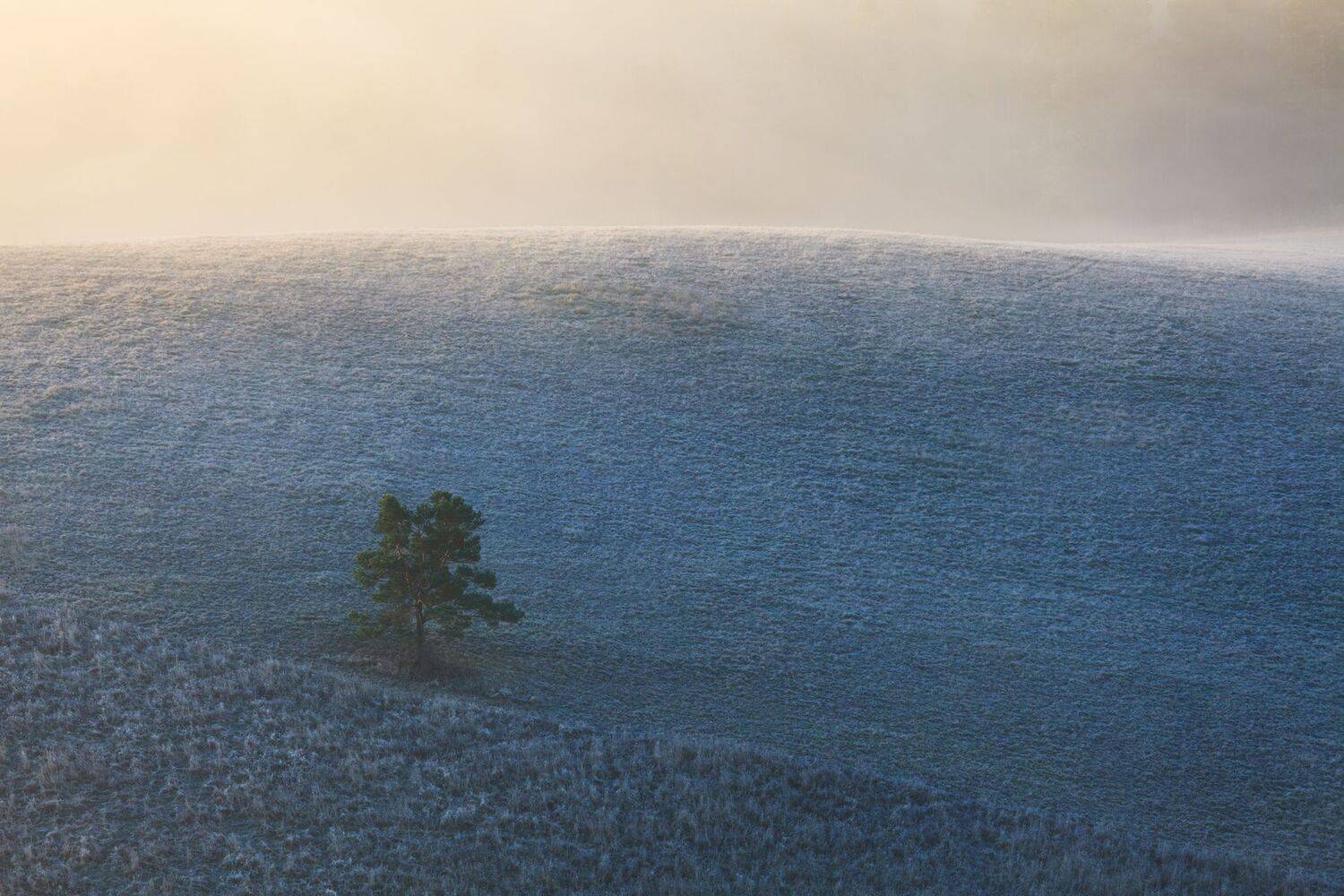 ,  Mirosław Pruchnicki