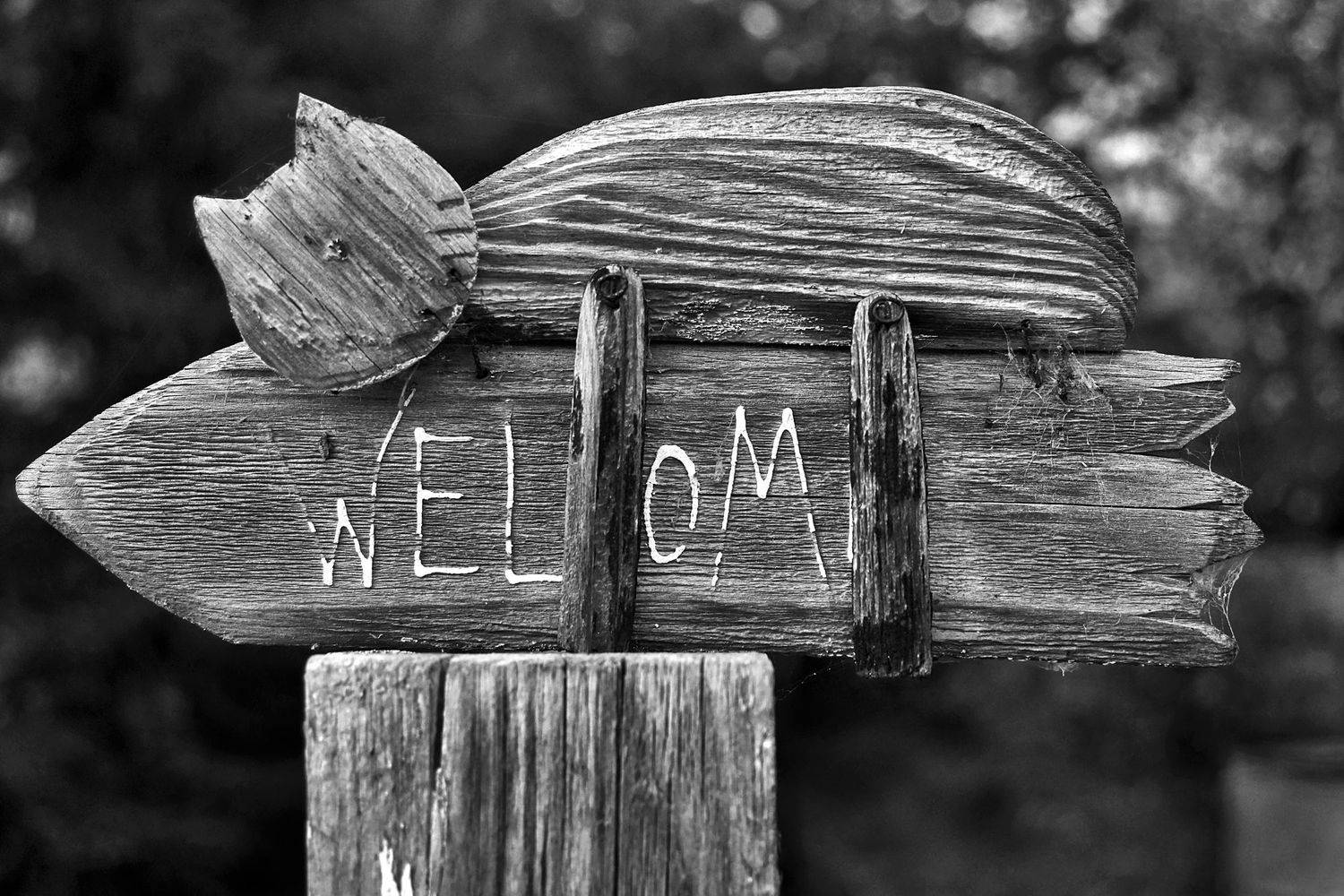 указатель, апатиты, Николай Смоляк