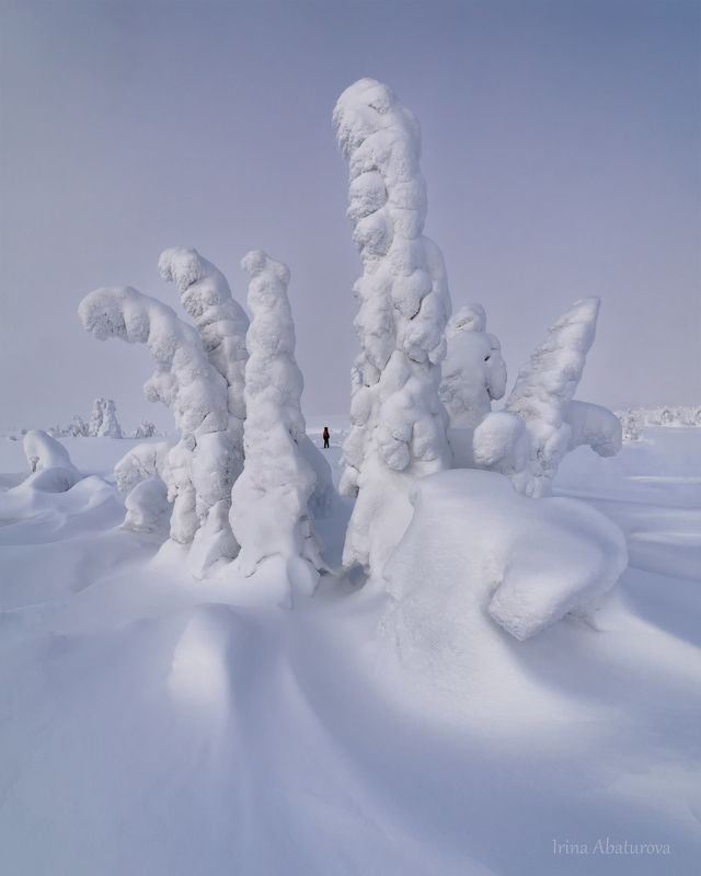 зима, урал, север, снег, ветер, сугроб, гух, главный уральский хребет В саду сказочных скульптур фото превью