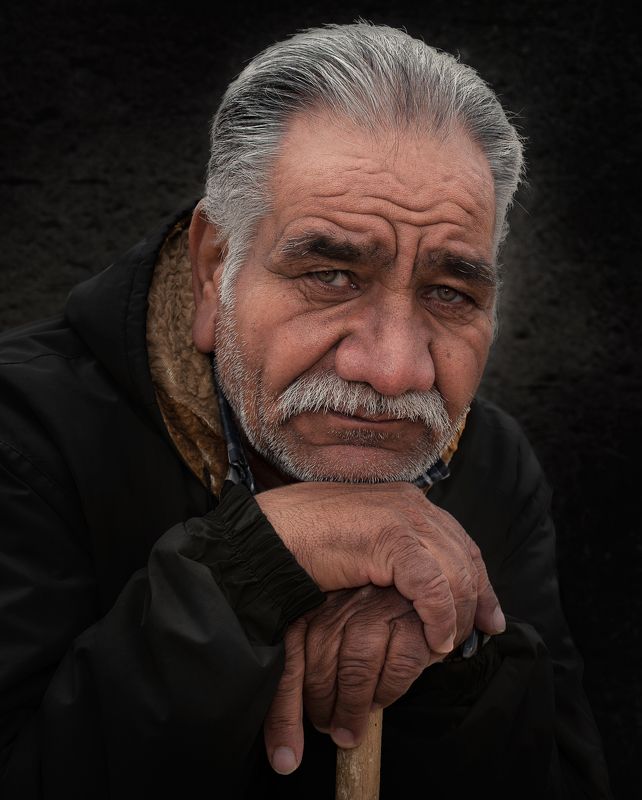 Portrait  фото превью