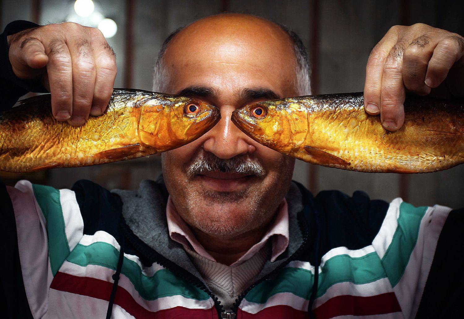 portrait man old fish, danianian reza