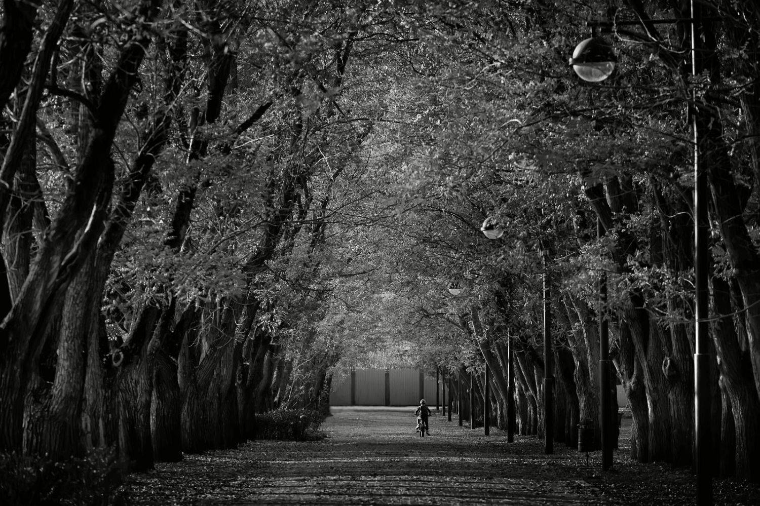 , Сергей Фудиненко