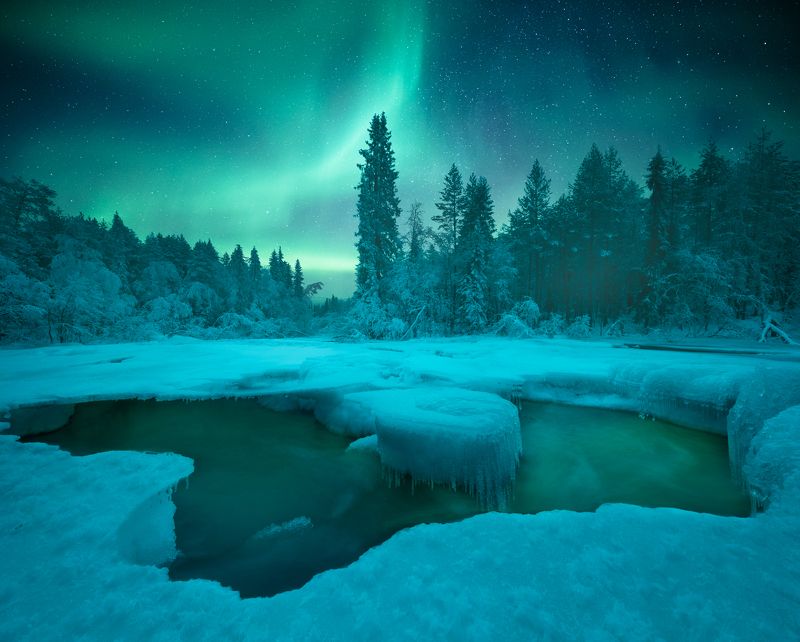 кольский полуостров, кольский, зима, winter, snow, kola peninsula, forest, aurora borealis In the night фото превью