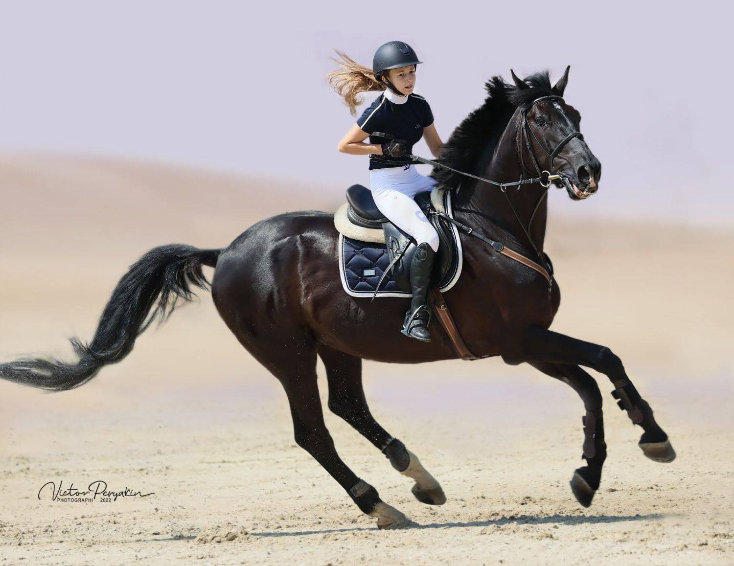 , Виктор Перякин