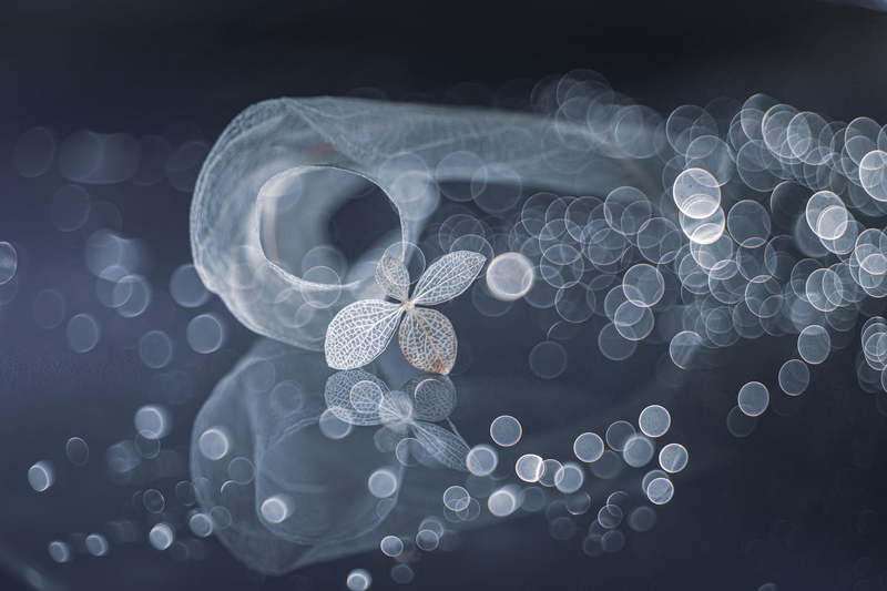 close-up, still life Whirlwind of change фото превью
