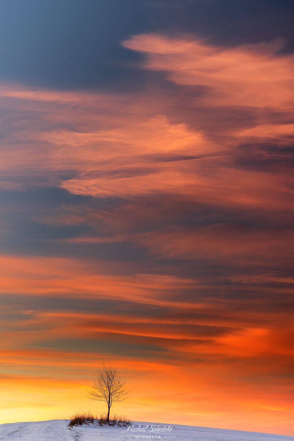 #pieniny #tatras #poland #mountains #landscape #pentax #amazing #tree #sunset, Michał Sośnicki