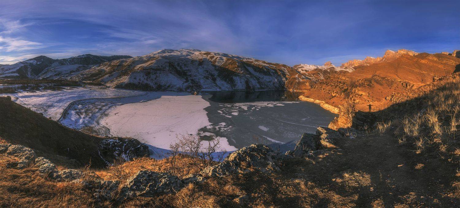 , ДМИТРИЙ ПУЗЕНКО