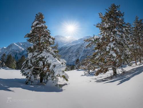 Мороз и солнце; день чудесный!