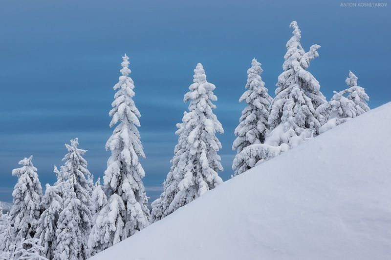 Лестница фото превью