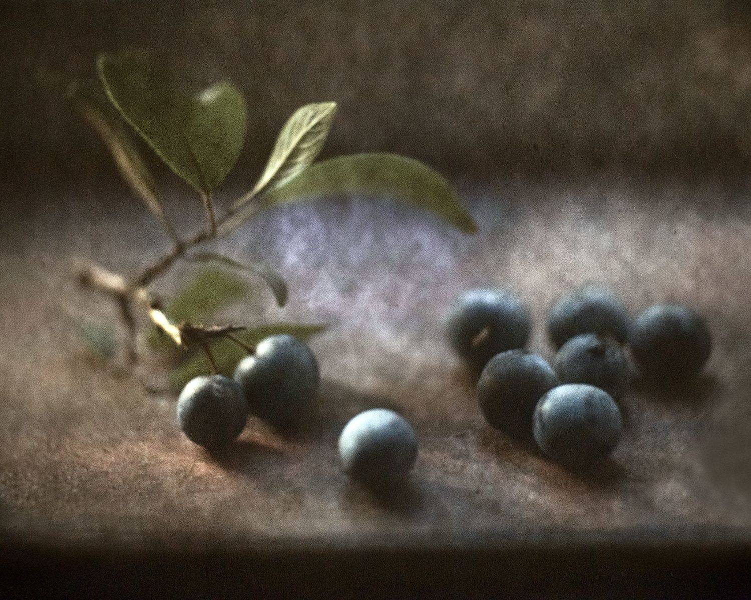 , Татьяна Аверина