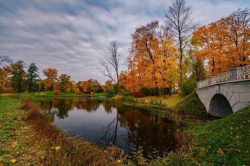 Царское село, Александровский парк