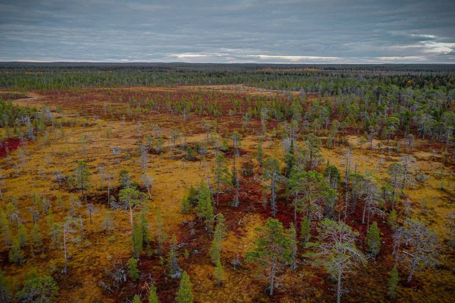 , Павел Ившин