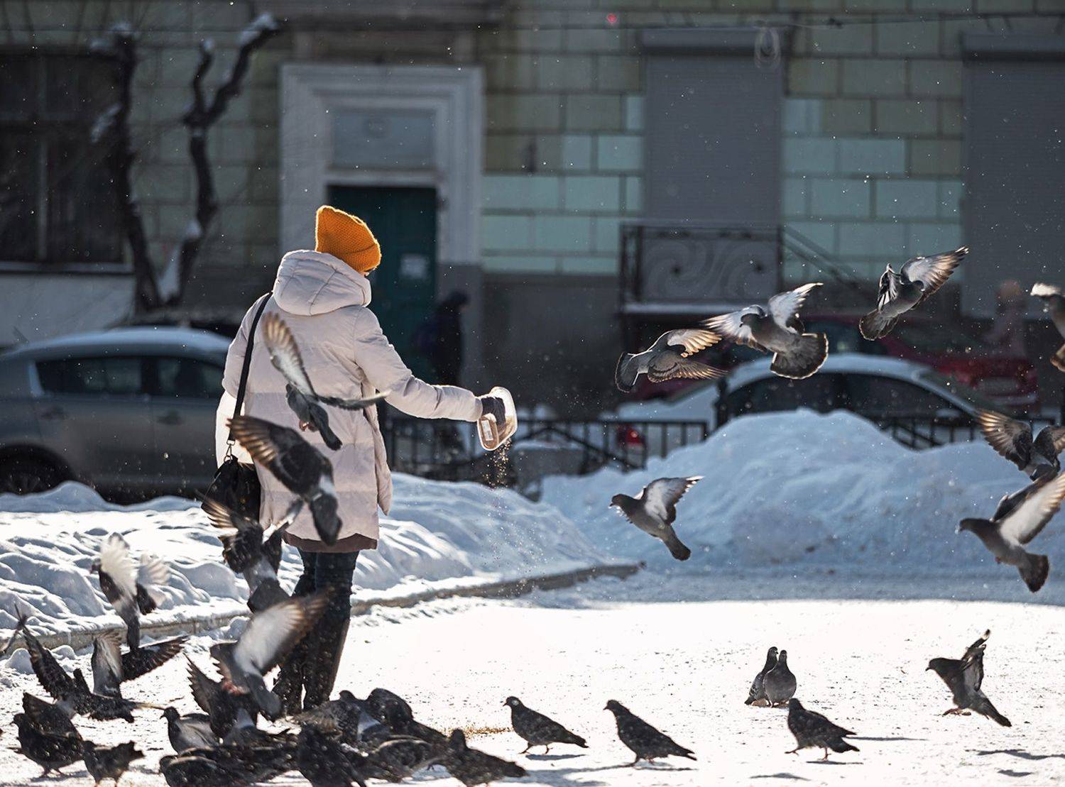 , Руслан Ахметшин