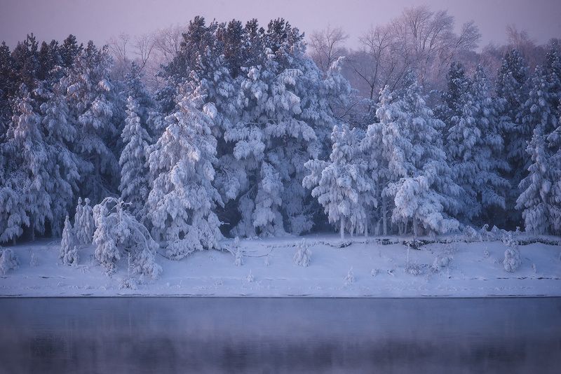сибирь, енисей, мороз, туман, иней, красноярский край Енисейская Сибирь фото превью