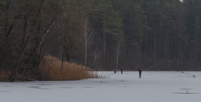 выходной... фото превью