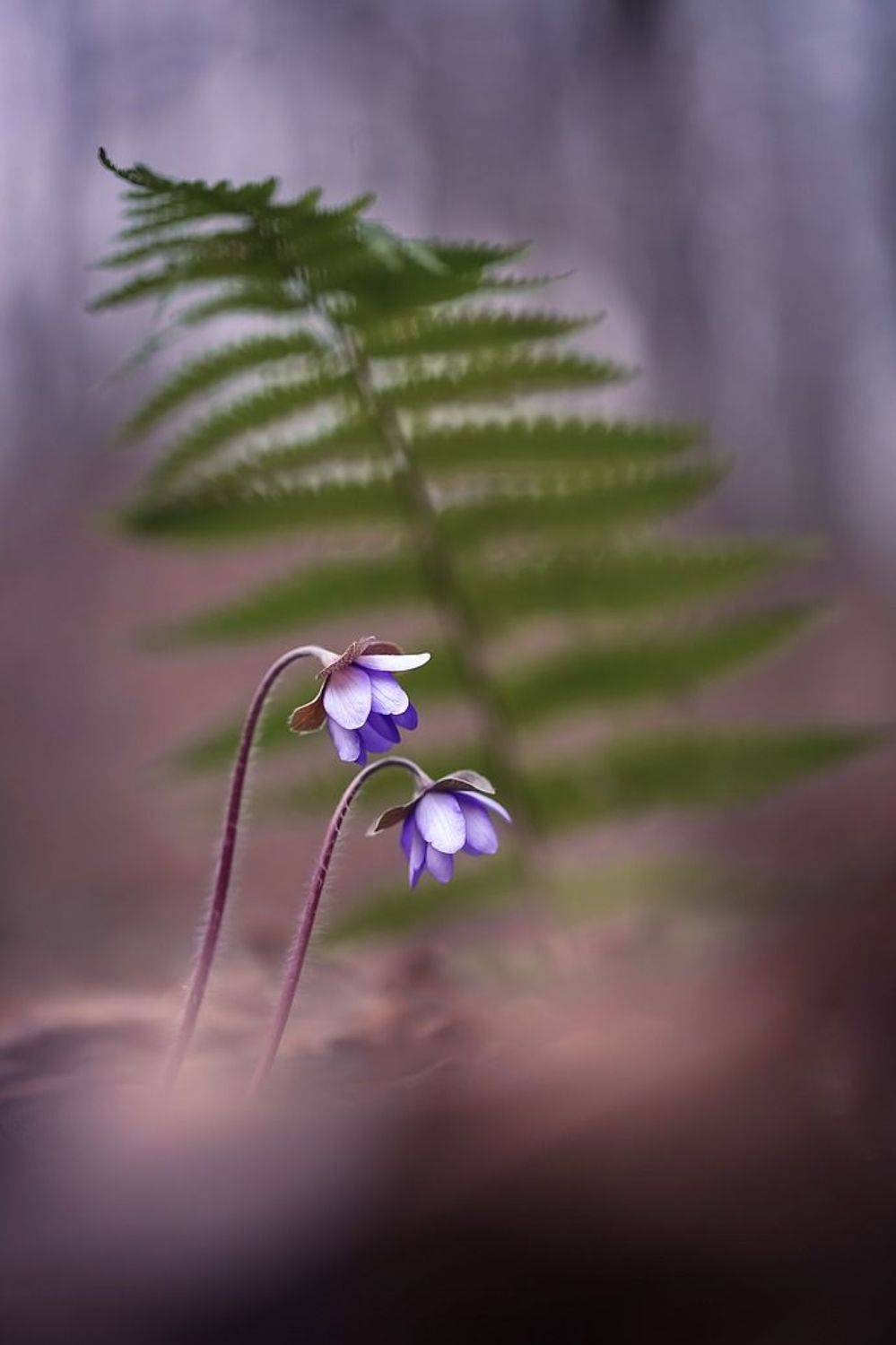 , Вячеслав Мищенко