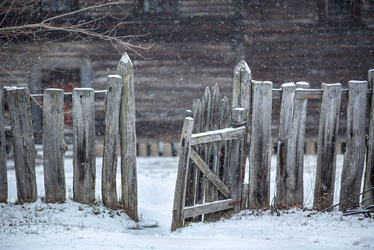 , Юрий Юрьев