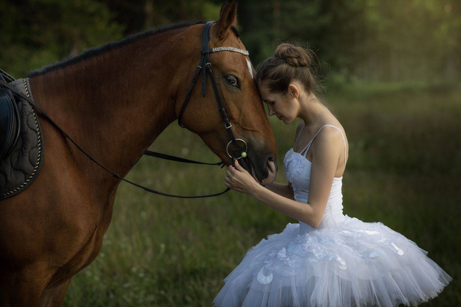 , Светлана Ерохина