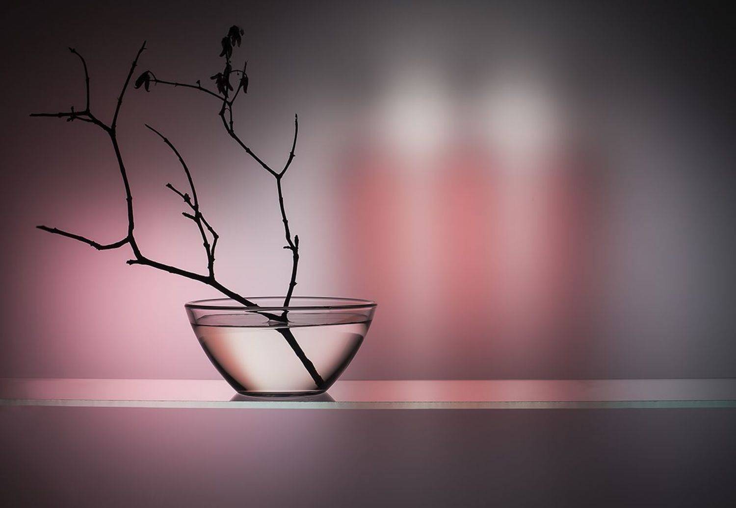 , Евгений Попов