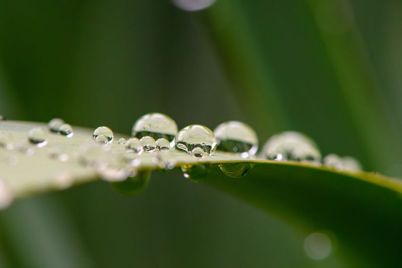 Waterdrops фото превью