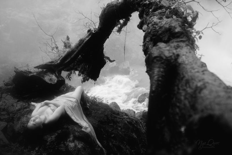 Ha 02 фото превью