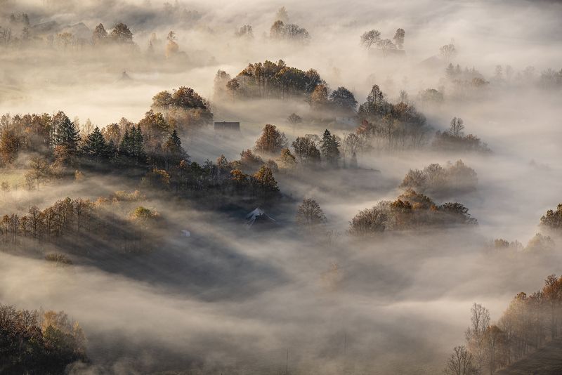 My place in the world фото превью