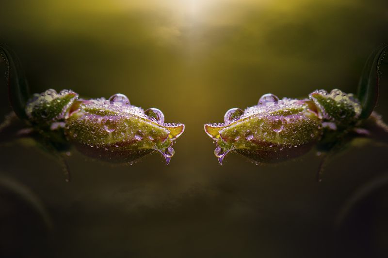 The creation of copy фото превью