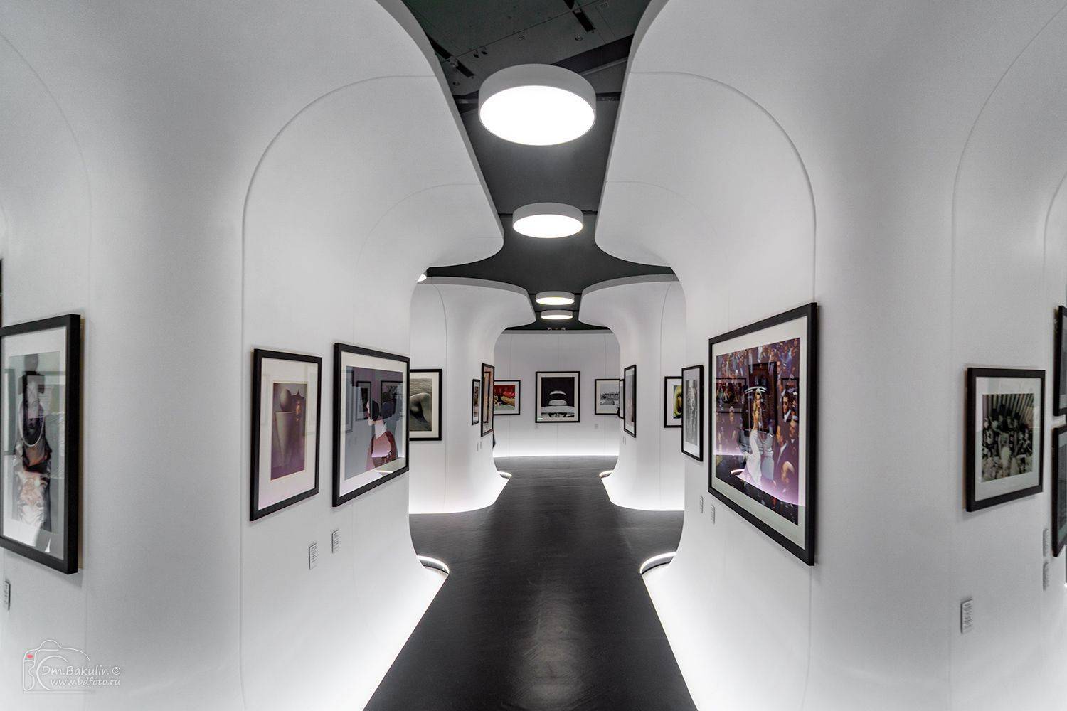 санкт-петербург, Дмитрий Бакулин