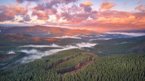 Занималось утро над Горганами