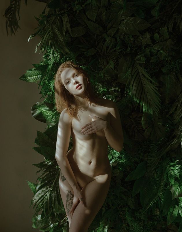 Summer фото превью