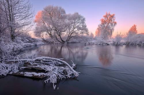 Морозное утро
