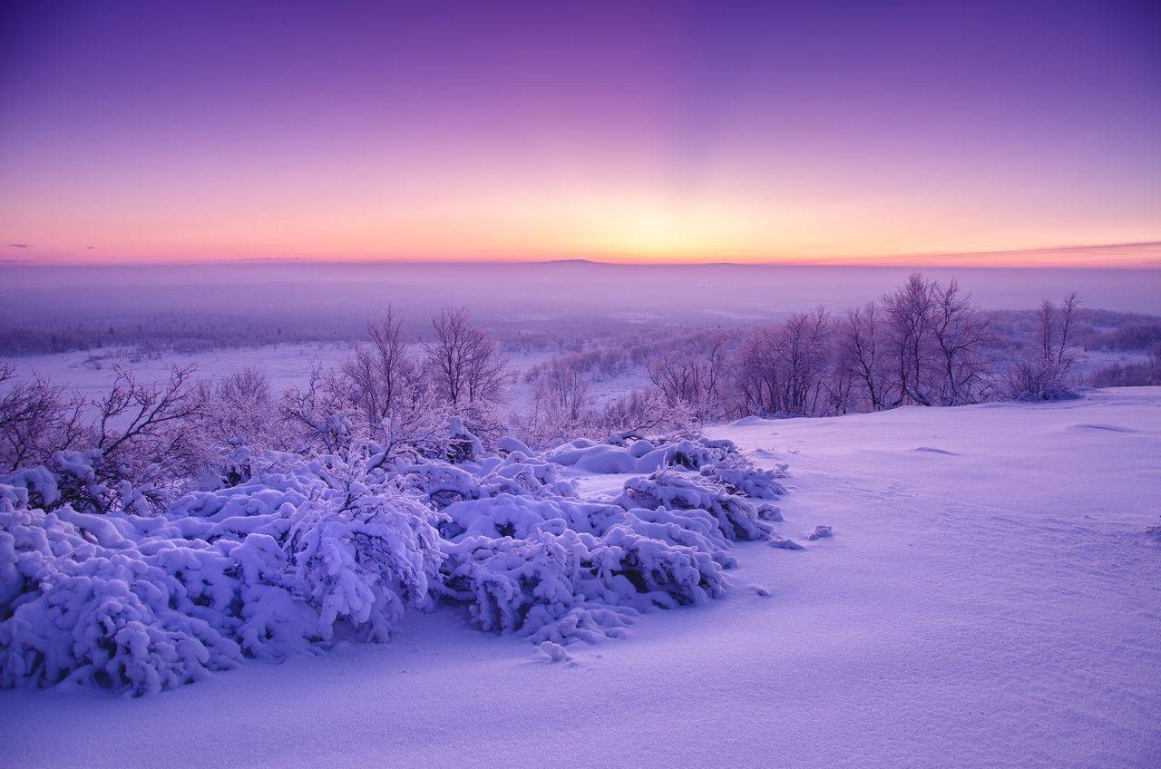 , Денис Абрамов